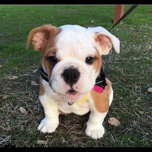 Meet your Posher, Katie